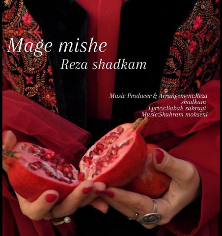 دانلود آهنگ رضا شادکام مگه میشه